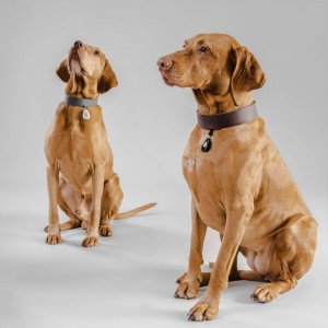 Inmoless Inmoless Ultradźwiękowy odstraszacz na pchły i kleszcze dla zwierząt domowych Inmoless Pet - Yellow 7