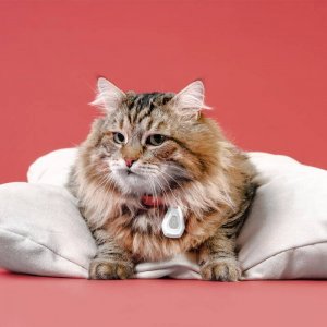 Inmoless Inmoless Ultradźwiękowy odstraszacz na pchły i kleszcze dla zwierząt domowych Inmoless Pet - Orange 6