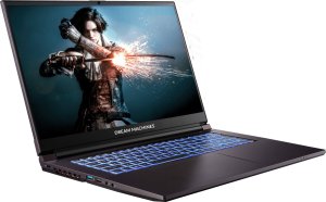 Laptop Dream Machines RG2050-17PL25 i7-13620H / 16 GB / 1 TB / RTX 2050 / 144 Hz 1