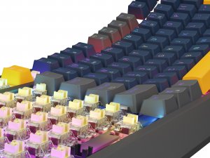 Klawiatura Genesis Thor 230 TKL Outemu Panda (NKG-2163) 12