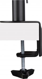 StarTech Uchwyt biurkowy na 2 monitory 13" - 34" (CF58994) 18