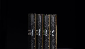 Pamięć Kingston Fury Renegade Pro, DDR5, 16 GB, 6400MHz, CL32 (KF564R32RBE-16) 6