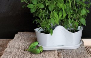 Prosperplast OGRÓD WERYKALNY DONICZKA KASKADA DO ZIÓŁ - BIAŁY 2