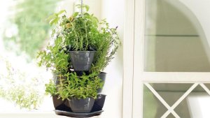 Prosperplast OGRÓD WERYKALNY DONICZKA KASKADA DO ZIÓŁ - BIAŁY 8