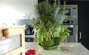 Prosperplast OGRÓD WERYKALNY DONICZKA KASKADA DO ZIÓŁ - BIAŁY 10