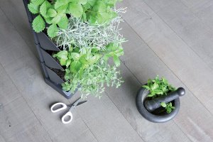 Prosperplast KWIETNIK OGRÓD WERTYKALNY STOJĄCY ANTRACYT 3