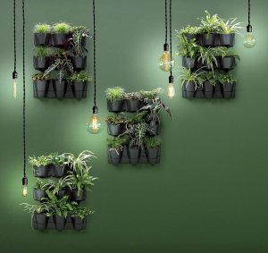 Prosperplast KWIETNIK OGRÓD WERTYKALNY WISZĄCY ANTRACYT 9