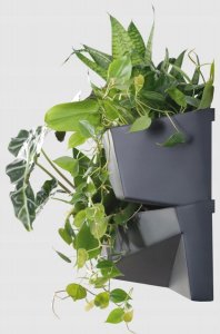 Prosperplast KWIETNIK OGRÓD WERTYKALNY 4SET ANTRACYT 9