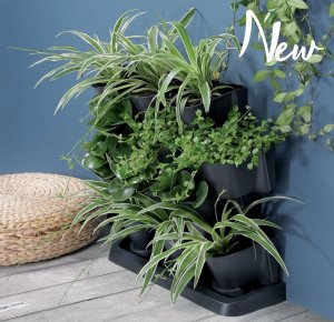 Prosperplast KWIETNIK OGRÓD WERTYKALNY STOJĄCY ANTRACYT 5