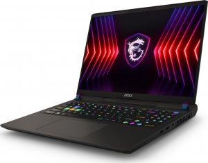 Laptop MSI Vector 16 HX A13VHG-492PL i9-13980HX / 16 GB / 1 TB / W11 / RTX 4080 / 240 Hz 3