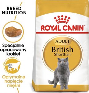 Royal Canin British Shorthair 2kg + gratis 1