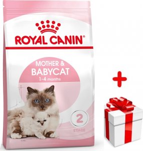 Royal Canin ROYAL CANIN Mother&Babycat 4kg karma sucha dla kotek w okresie ciąży, laktacji i kociąt od 1 do 4 miesiąca życia + niespodzianka dla kota GRATIS! 1