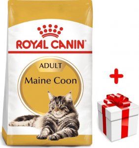 Royal Canin Maine Coon Adult 4kg + gratis 1