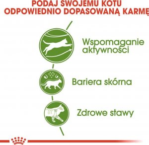 Royal Canin Outdoor 30 4kg 7