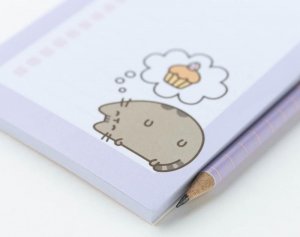 Pusheen Pusheen - Notatnik z magnesem na lodówkę + ołówek z kolekcji Moments 4