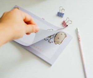 Pusheen Pusheen - Notatnik z magnesem na lodówkę + ołówek z kolekcji Moments 6