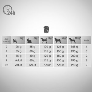 Perfect Fit Perfect Fit - sucha karma pełnoporcjowa dla szczeniąt małych ras, bogata w kurczaka 6kg 2