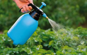 NO PEST Oprysk Środek Płyn Preparat na Ptaszyńce Ptaszyńca Kurzego Roztocza Świerzbowce NO PEST Strangler Pro EC 100ml 2