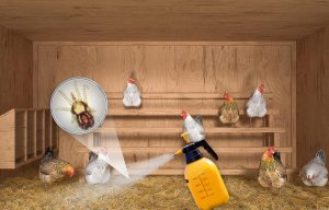 NO PEST Oprysk Środek Płyn Preparat na Ptaszyńce Ptaszyńca Kurzego Roztocza Świerzbowce NO PEST Strangler Pro EC 100ml 4