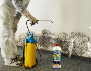 NO PEST Preparat Płyn Środek na Grzyby Domowe Pleśń i Glony 1L Preparat do Usuwania Grzyba i Pleśni 3