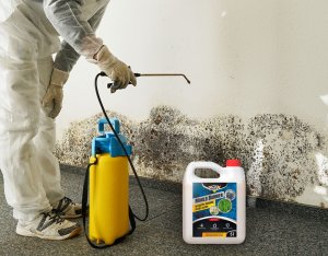 NO PEST Preparat Płyn Środek na Grzyby Domowe Pleśń i Glony 5L Preparat XXL do Usuwania Grzyba i Pleśni 3
