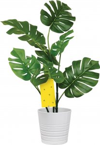 NO PEST Lep do Doniczek Szklarni Sadów 25x10cm (5 szt) Pułapki Lepowe Lepy na Mszyce Ziemiórki Muszki Mrówki i Inne Szkodniki Roślin 6