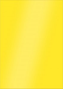 NO PEST Lep do Doniczek Szklarni Sadów 10,5x7,3cm (12 szt) Pułapki Lepowe Lepy na Mszyce Ziemiórki Muszki Mrówki i Inne Szkodniki Roślin 11