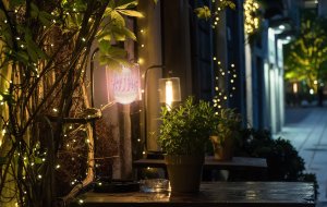 NO PEST Lampa Żarówka Owadobójcza Insect Bulb Lampa na Komary Muchy Meszki Ćmy Mole Osy i Inne Owady 9