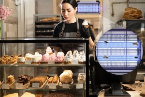 NO PEST Duża Lampa Owadobójcza Ścienna Insect Barrier Lampa na Komary Muchy Meszki Ćmy Mole Osy i Inne Owady na Ścianę 8