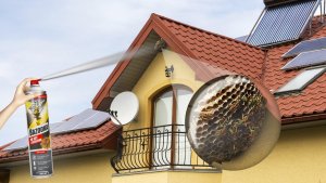 NO PEST Spray na Osy 300ml Bazooka Preparat Oprysk Środek na Osy Szerszenie Gniazda Os 3