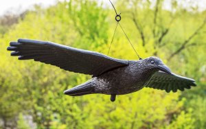 NO PEST Odstraszacz Ptaków Gołębi Szpaków Makieta Ptaka Kruk w Locie Odstraszający Ptaki 2