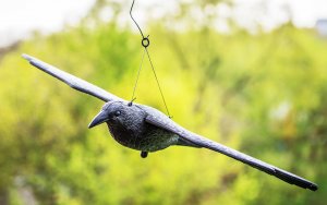 NO PEST Odstraszacz Ptaków Gołębi Szpaków Makieta Ptaka Kruk w Locie Odstraszający Ptaki 3