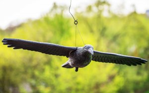NO PEST Odstraszacz Ptaków Gołębi Szpaków Makieta Ptaka Kruk w Locie Odstraszający Ptaki 4