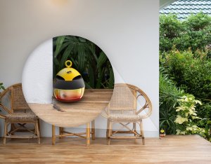 NO PEST Pułapka na Osy Wasp Tempter Środek Pułapka na Osy Szerszenie i Inne Owady + Wabik 200ml 12