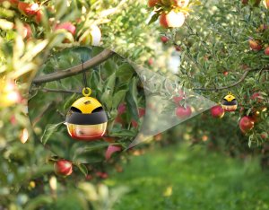 NO PEST Pułapka na Osy Wasp Tempter Środek Pułapka na Osy Szerszenie i Inne Owady + Wabik 200ml 13