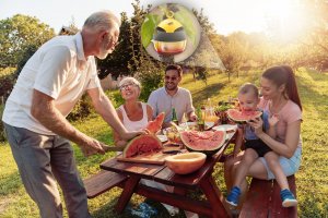 NO PEST Pułapka na Osy Wasp Tempter Środek Pułapka na Osy Szerszenie i Inne Owady + Wabik 200ml 7