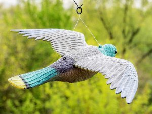 NO PEST Odstraszacz Ptaków Gołębi Szpaków Makieta Ptaka Sokół Pustułka w Locie na Ptaki 5