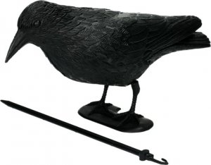 NO PEST Odstraszacz Ptaków Gołębi Szpaków Makieta Ptaka Duży Kruk Stojący Odstraszający Ptaki 4