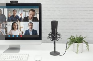 Mikrofon Digitus ZUB Digitus Mikrofon Studio 10