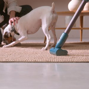 Odkurzacz pionowy Taurus Homeland Digital Animal Flex 7