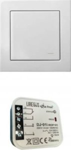 Liregus WIRELESS SWITCH (RJ-314) 2