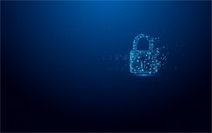 Pendrive Kingston IronKey Vault Privacy 50, 512 GB  (IKVP50/512GB) 8