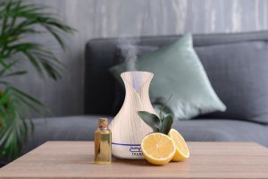 Dyfuzor zapachowy Transa Electronics Dyfuzor zapachowy AromaWhite 12