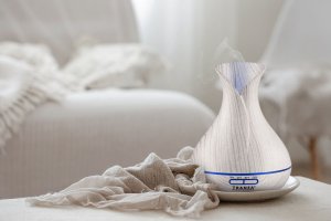 Dyfuzor zapachowy Transa Electronics Dyfuzor zapachowy AromaWhite 14