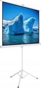 Ekran do projektora Art ART HAND-HAND SCREEN ON A TRIPOD 110inch 244x137cm TA-110 16:9 2