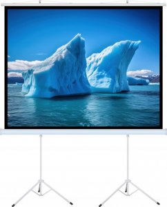 Ekran do projektora Art ART MANUAL SCREEN ON A TRIPOD 140inch 254x254cm TA-140 1:1 double tripod 2