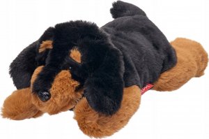 Beppe Maskotka Pies Jamnik leżący 35 cm 1