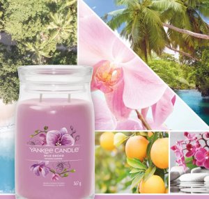 Yankee Candle Yankee Candle Signature Wild Orchid Świeca Duża 567g 4