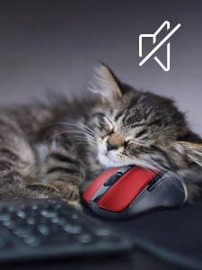 Mysz Defender Mysz bezprzewodowa Defender PRIME MB-053 optyczna bezklikowa silent 1600dpi czerwona 7