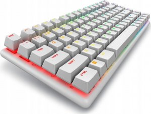 Klawiatura Dell Dell 545-BBFR Alienware Pro | Gaming Keyboard | Wireless | US | Bluetooth | Lunar Light | Alienware Linear Mechanical 5